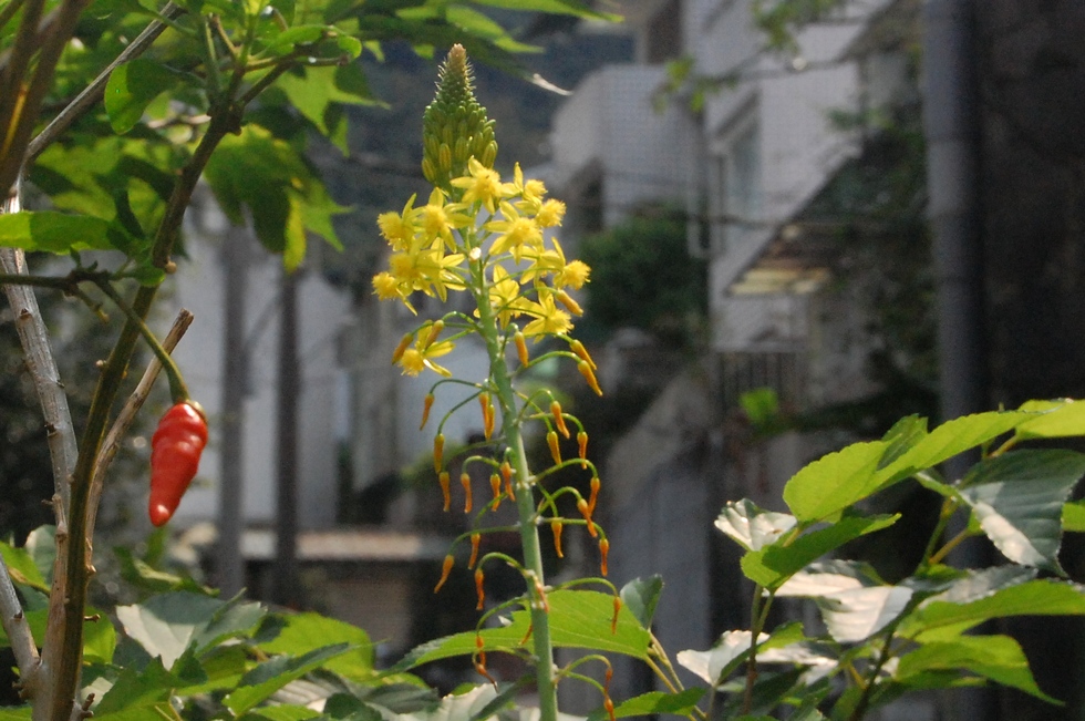 April DSC_8450