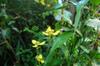 April DSC_8880
