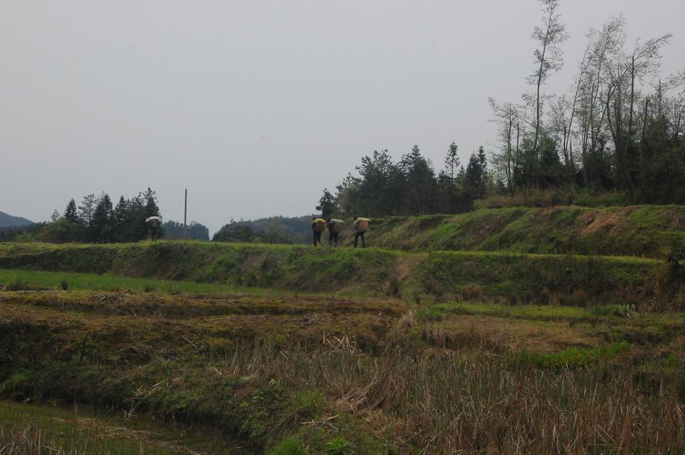 Hunan_Pdc DSC_8516