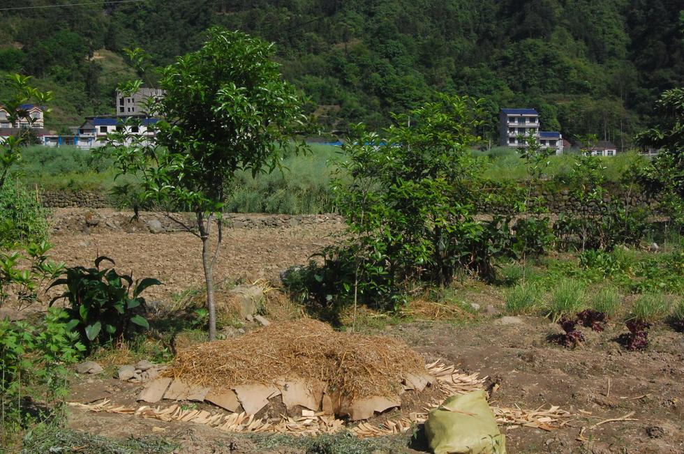 Hunan_Pdc DSC_8652