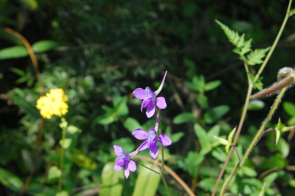 Hunan_Pdc DSC_8724
