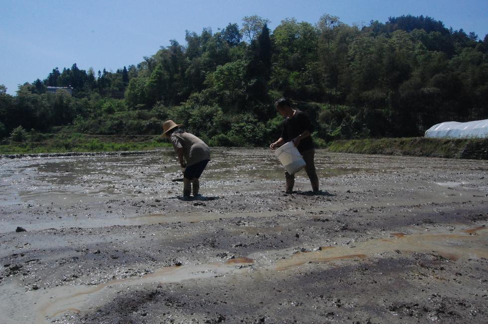 Hunan_Pdc DSC_8762
