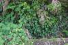 Hunan_Pdc DSC_8713