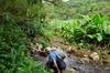 crossing a stream