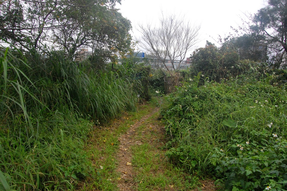 Yonghe Farm 2017 early spring DSC_8408