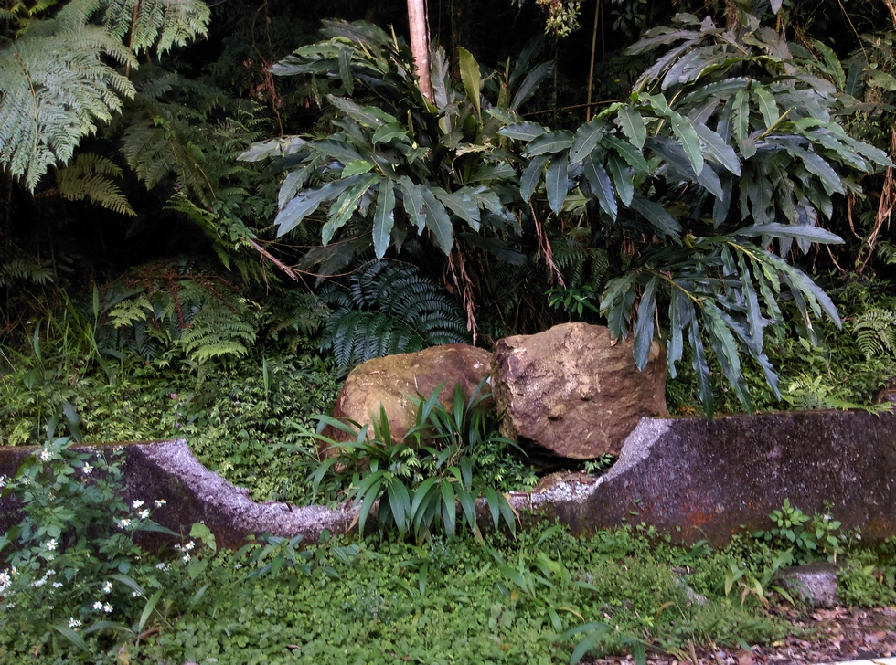 April IMAG2319