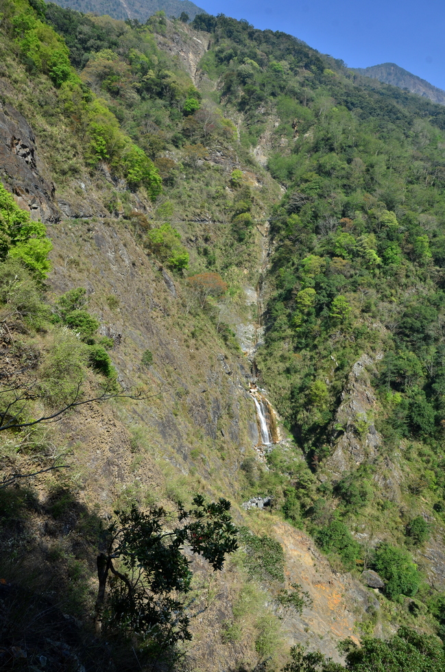 Dongpu 東埔 hikes DSC_0882