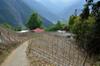 next photo: walking through farms in Dongpu 東埔 at the beginning of the trail