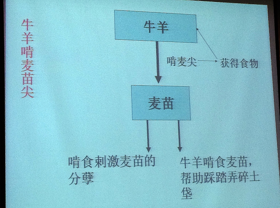 Hualien Agricultural Biodiversity Forum IMAG3058