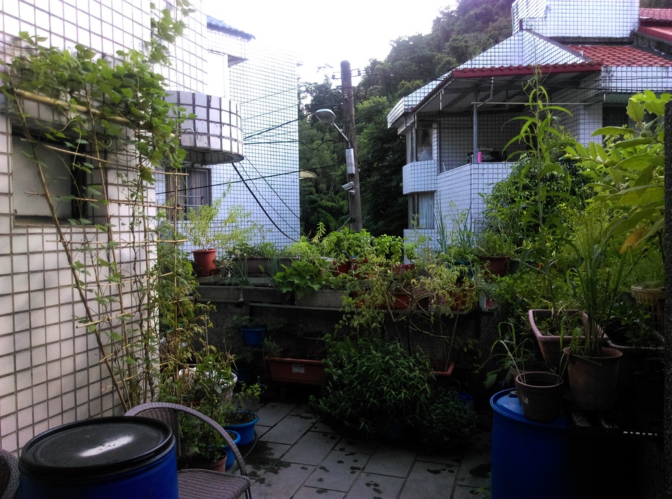 July IMAG3147