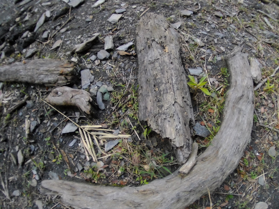 Heping North Stream 和平北溪 ISAW0073