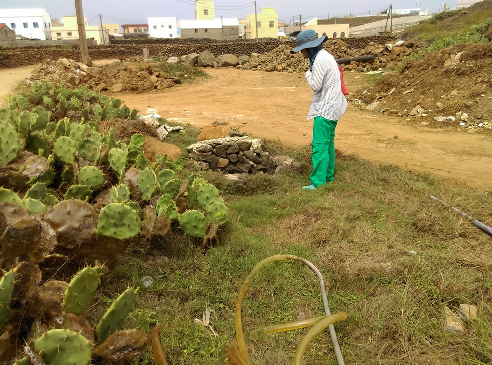Penghu 澎湖 Xiaomen 小門 IMAG3331