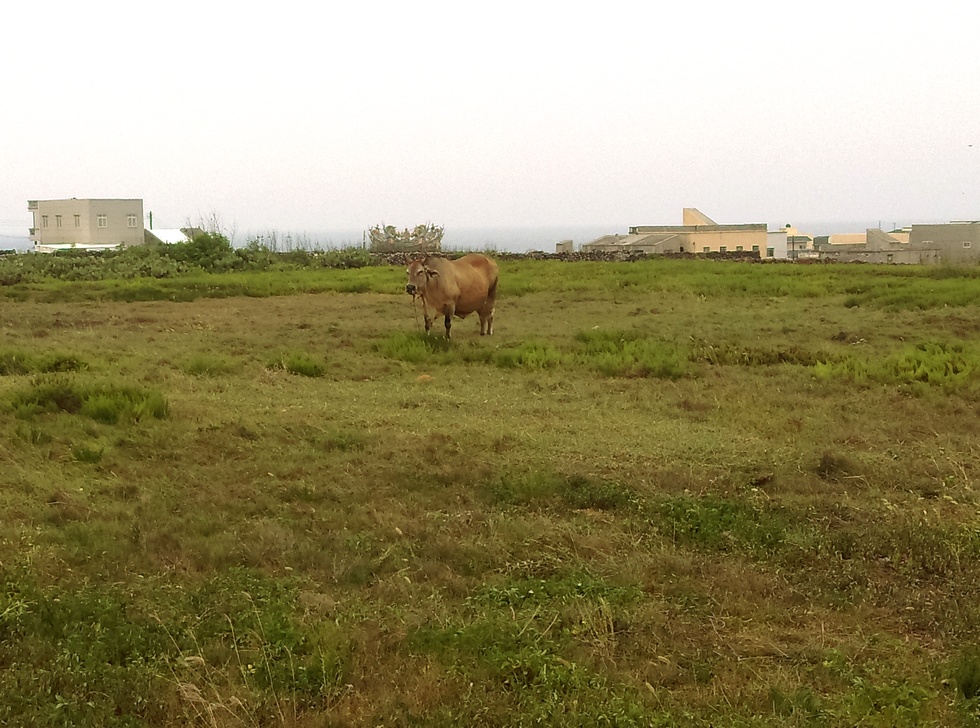 Penghu 澎湖 Xiaomen 小門 IMAG3367