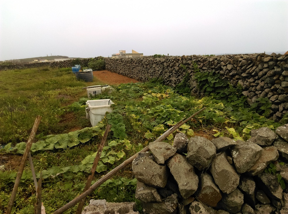 Penghu 澎湖 Xiaomen 小門 IMAG3389