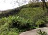 local cultivated landscape