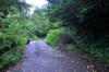 a private side road off Tongho Road 桶後林道