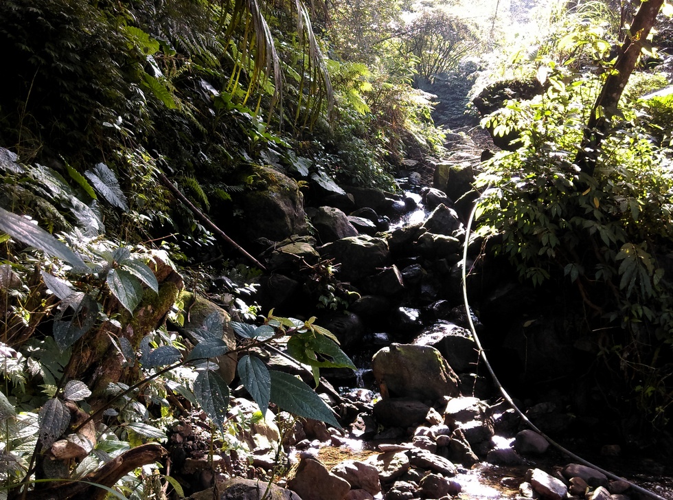 Sikanshui 四崁水 hike IMAG1781