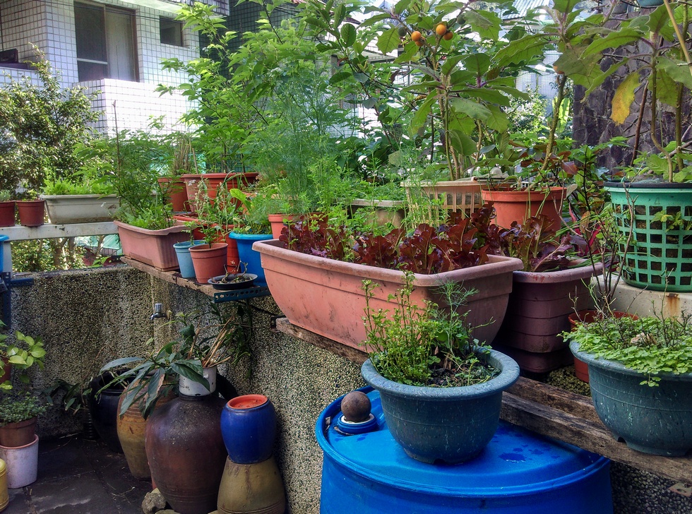 Spring IMAG2102