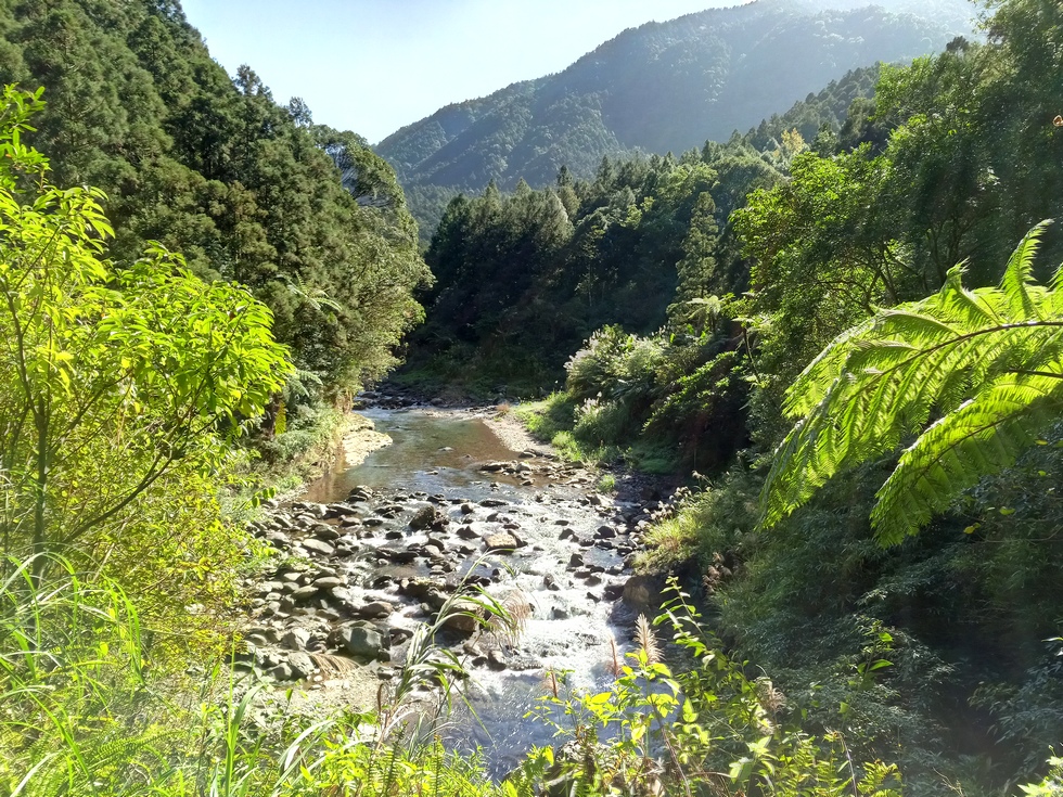 TongHo trail 桶後越嶺古道 IMG_20181202_100854_8