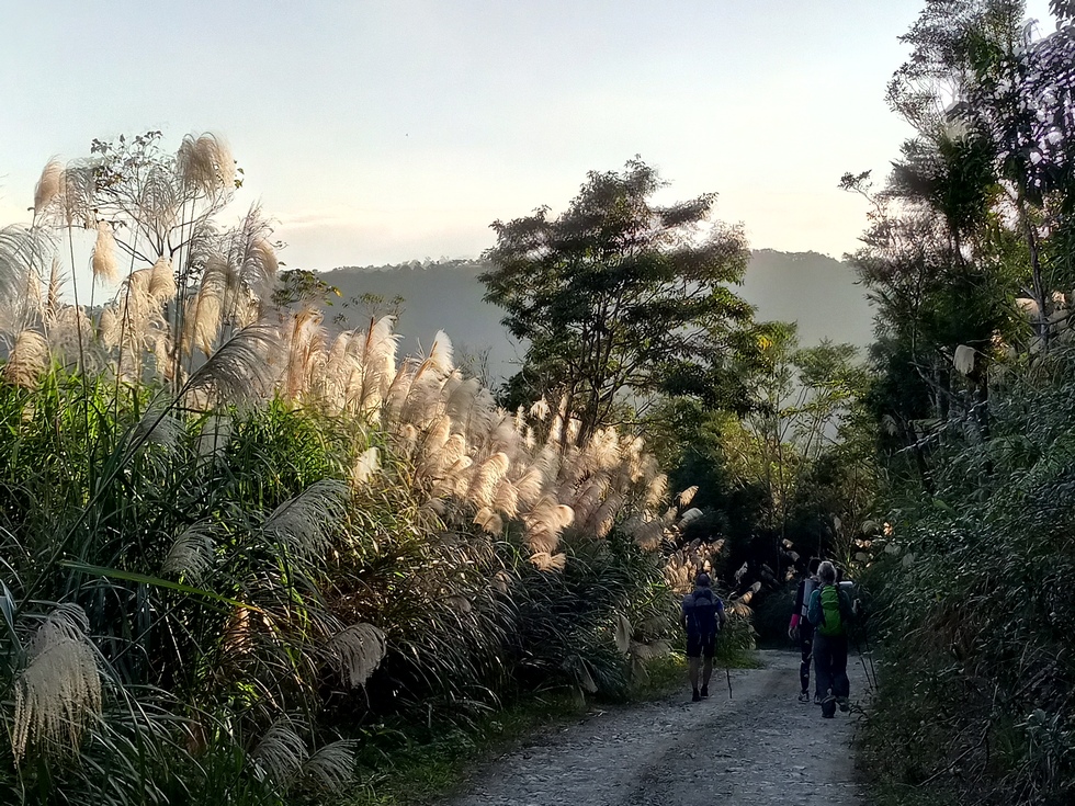 TongHo trail 桶後越嶺古道 IMG_20181202_154923_9