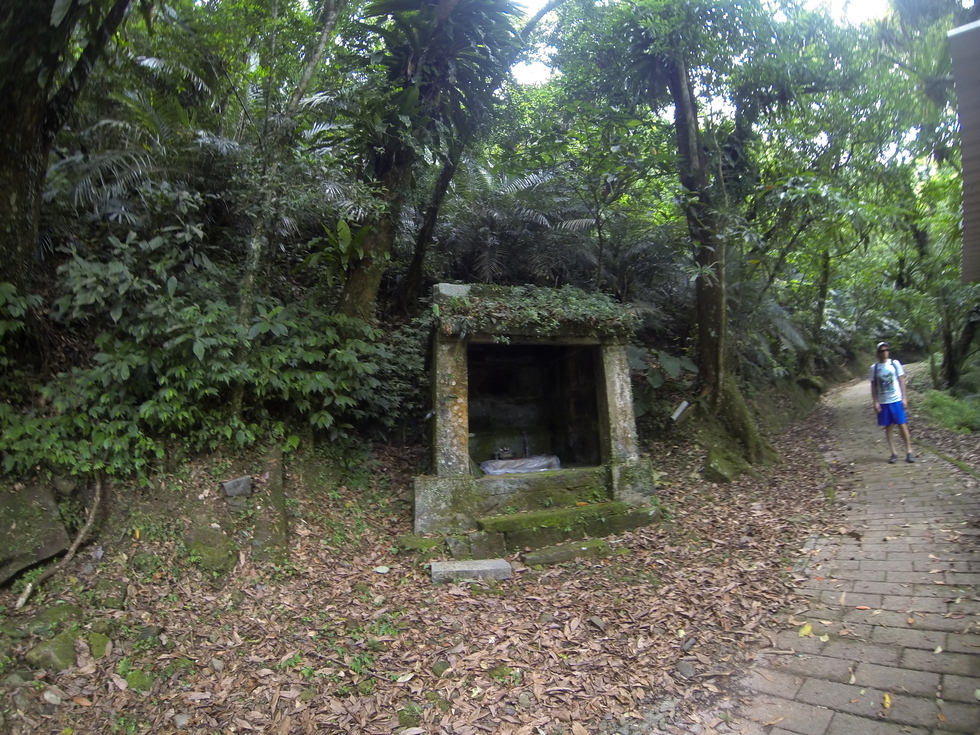 Wantan trail 灣潭古道 GOPR2834