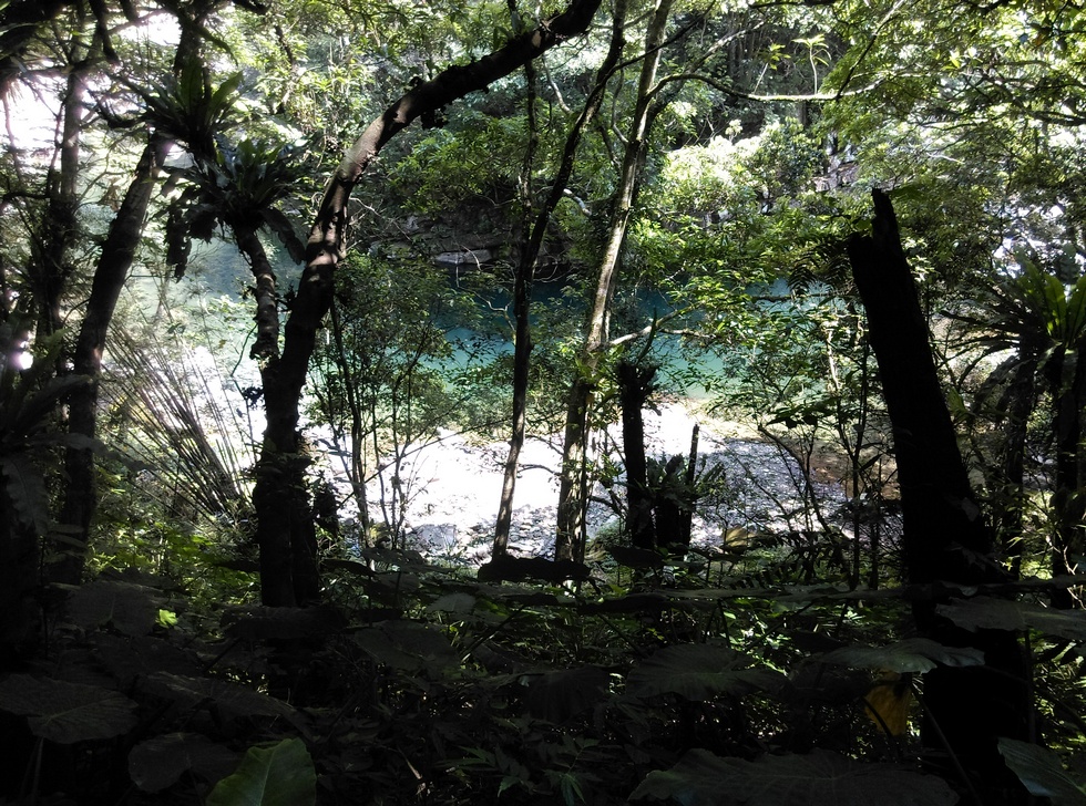 Wantan trail 灣潭古道 IMAG2570