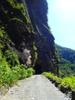 next photo: Danda tunnel 丹大林道隧道