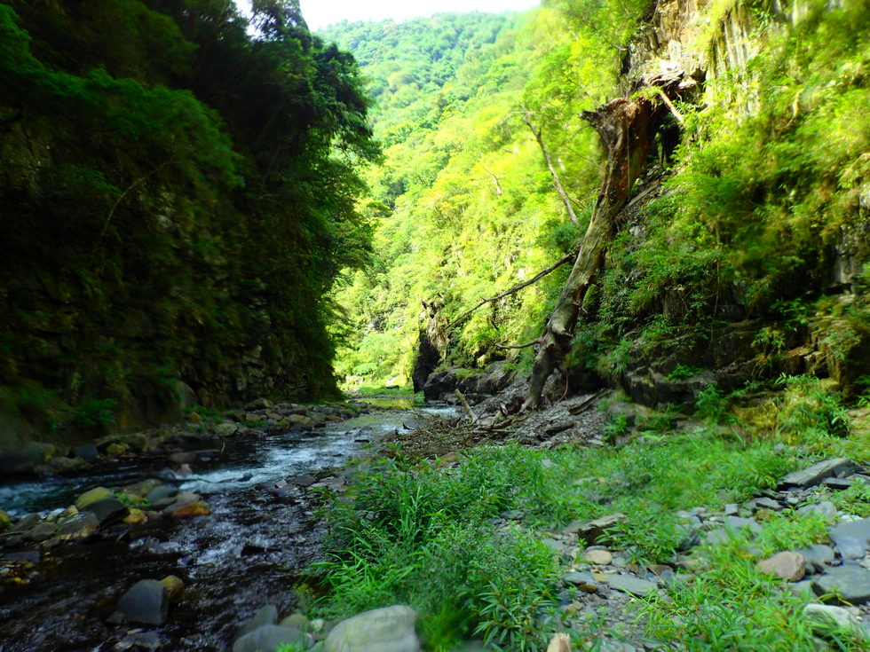 Sanguang River 三光溪 P6080077