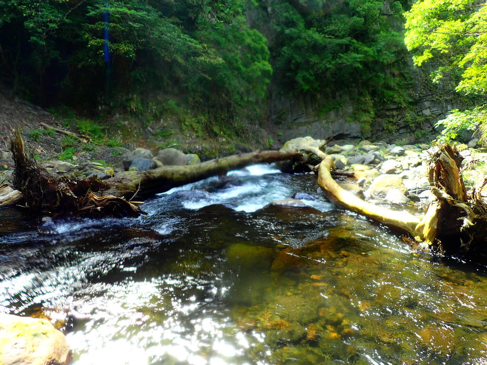 Sanguang River 三光溪 P6080081