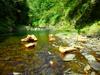 next photo: cut wood in the Sanguang River 三光溪