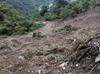 next photo: newly cleared land next to house