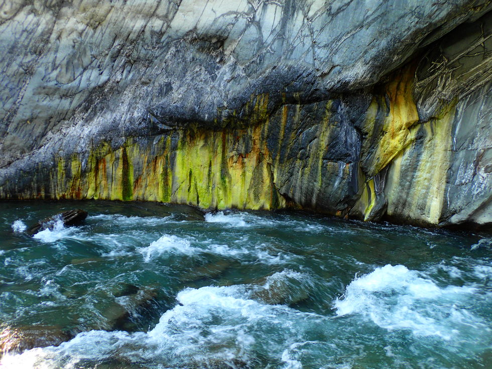 Danda stream 丹大溪 Hot springs survey P3010516