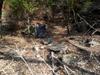 trash above confluence camp site