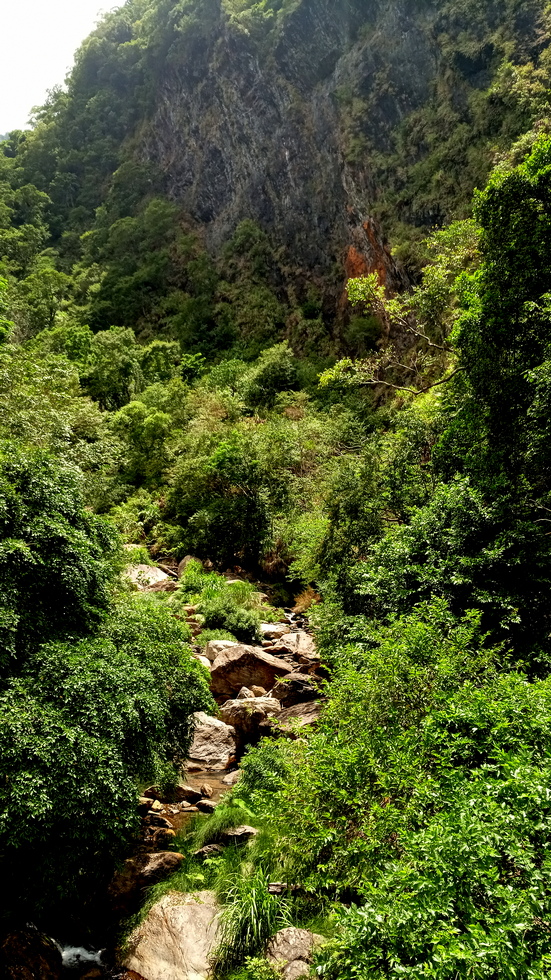 Heliu stream 合流溪 IMG_20190817_124935_4