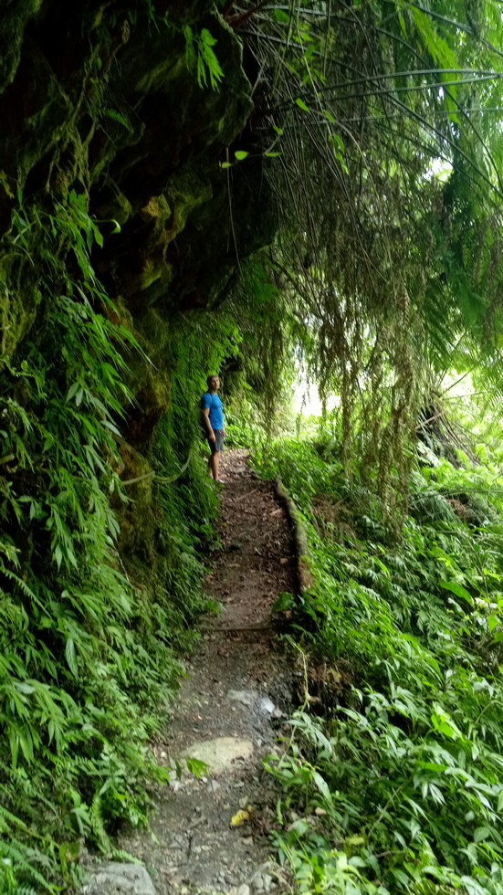 Heliu stream 合流溪 IMG_20190817_131203_9