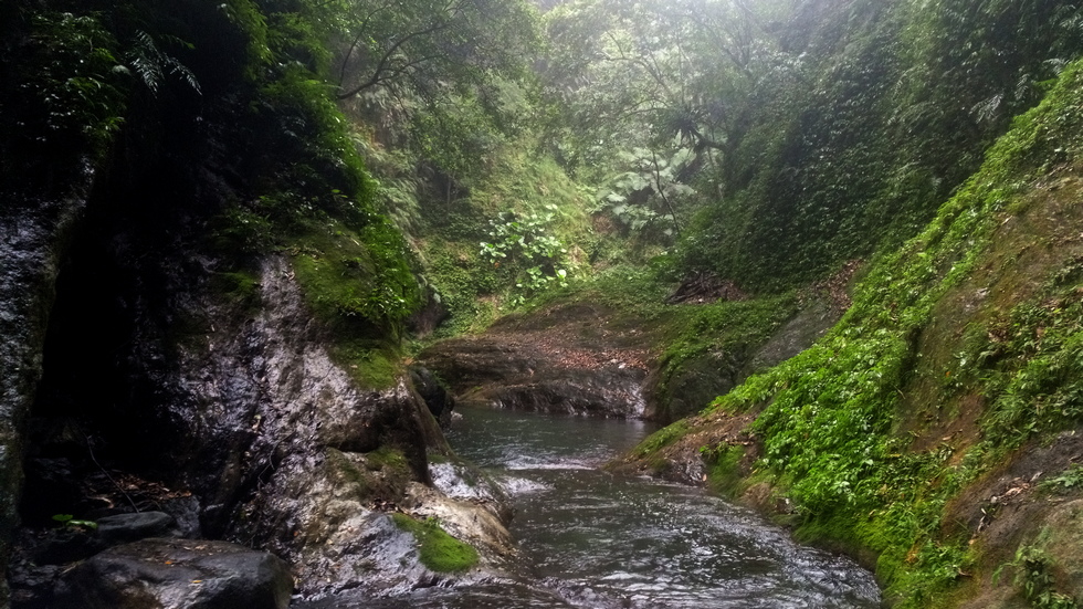 Heliu stream 合流溪 IMG_20190817_151027_1