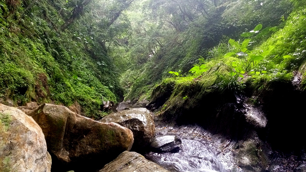 Heliu stream 合流溪 IMG_20190817_151032_8