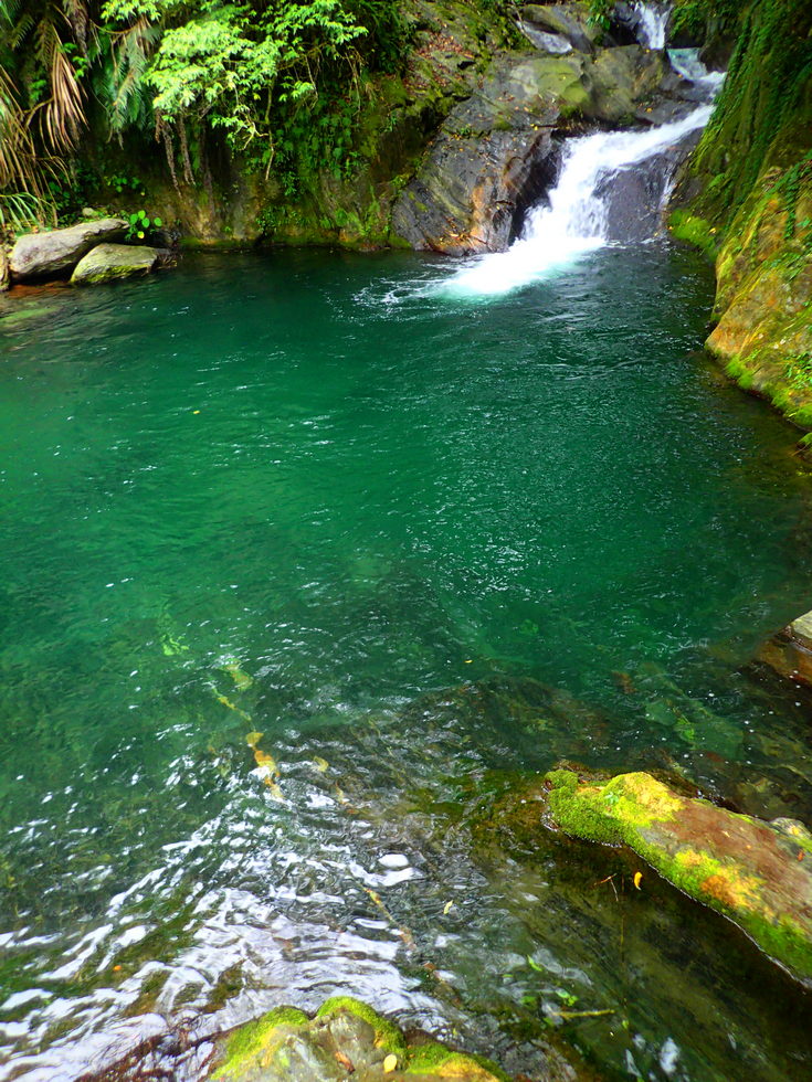 Heliu stream 合流溪 P8170010