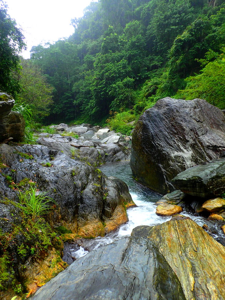 Heliu stream 合流溪 P8170021