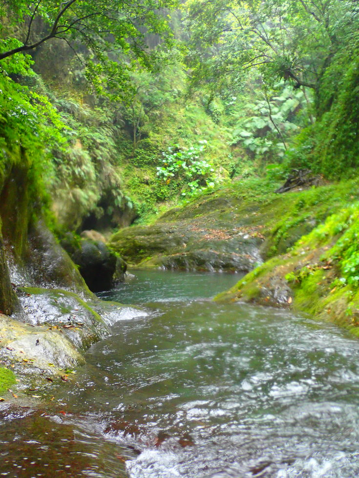 Heliu stream 合流溪 P8170032