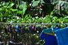 next photo: shoes out to dry after days of rain