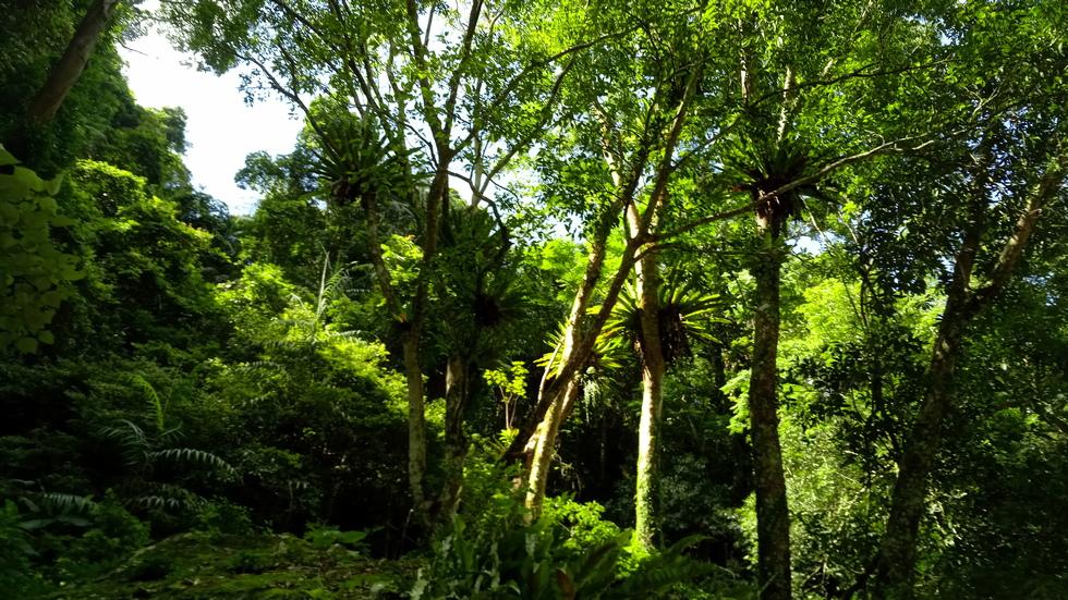 Miaoli 苗栗 Nanzhuang 南庄 streams and waterfalls IMG_20190720_143949_3
