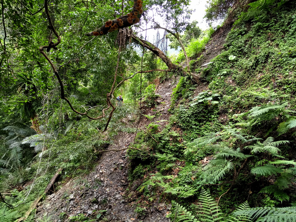 Nanao trail 南澳古道 IMG_20190205_141123_0