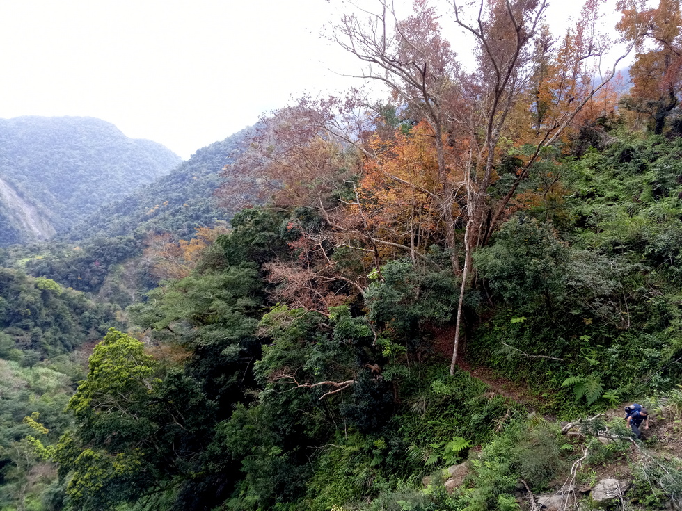 Nanao trail 南澳古道 IMG_20190205_161030_0