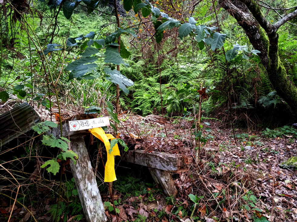 Nanao trail 南澳古道 IMG_20190205_170351_8