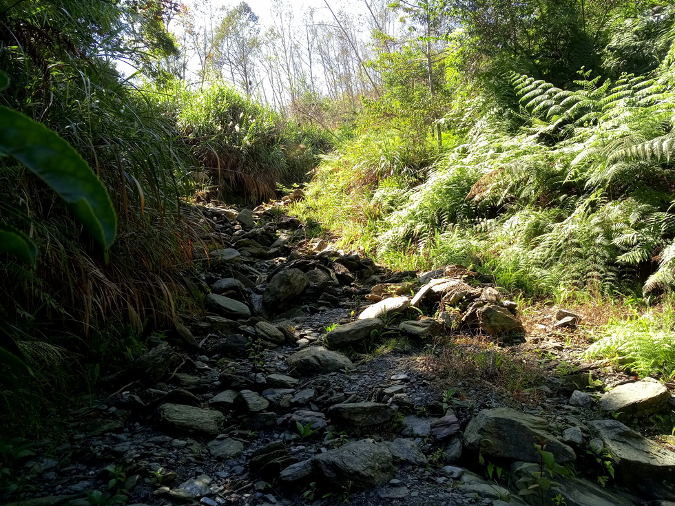 Nanao trail 南澳古道 IMG_20190206_104837_5