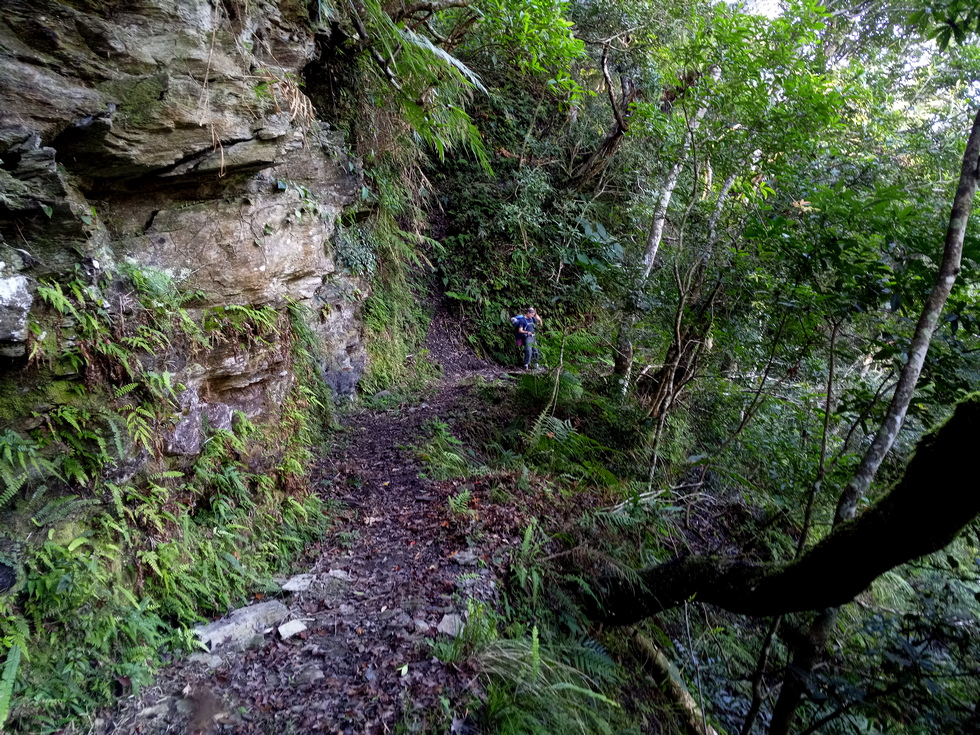 Nanao trail 南澳古道 IMG_20190206_112634_7