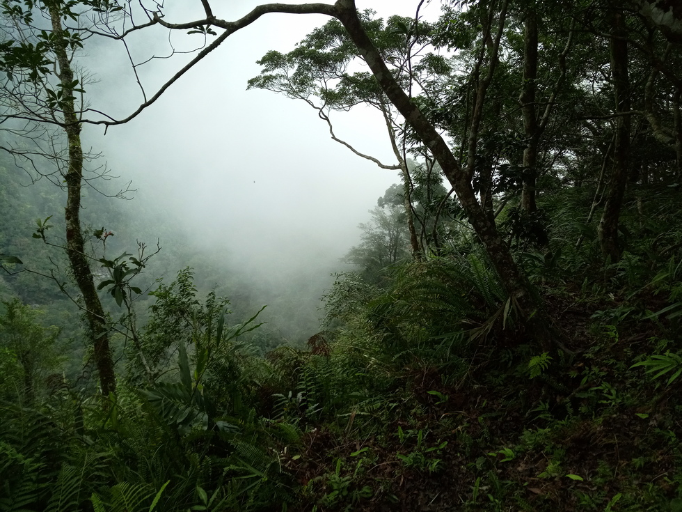 Nanao trail 南澳古道 IMG_20190206_163757_6