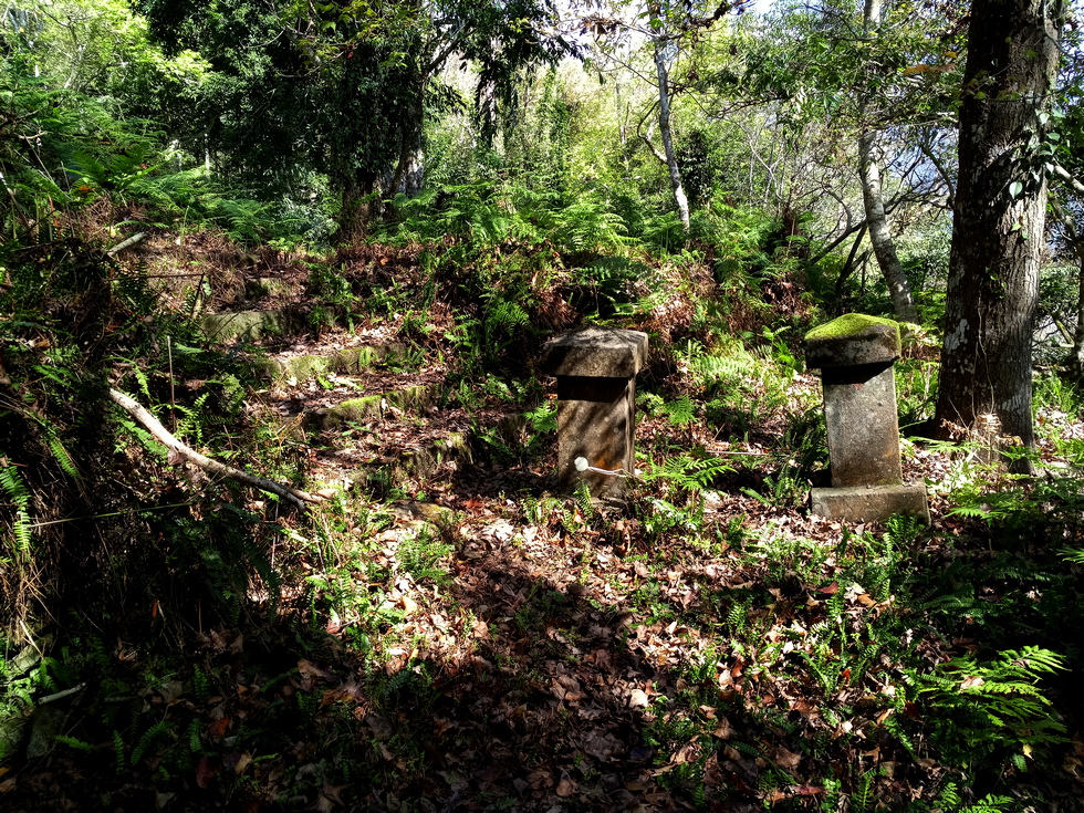 Nanao trail 南澳古道 IMG_20190207_102506_6