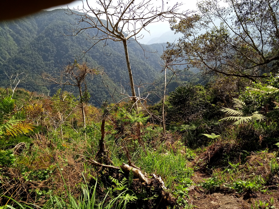 Nanao trail 南澳古道 IMG_20190207_112024_6